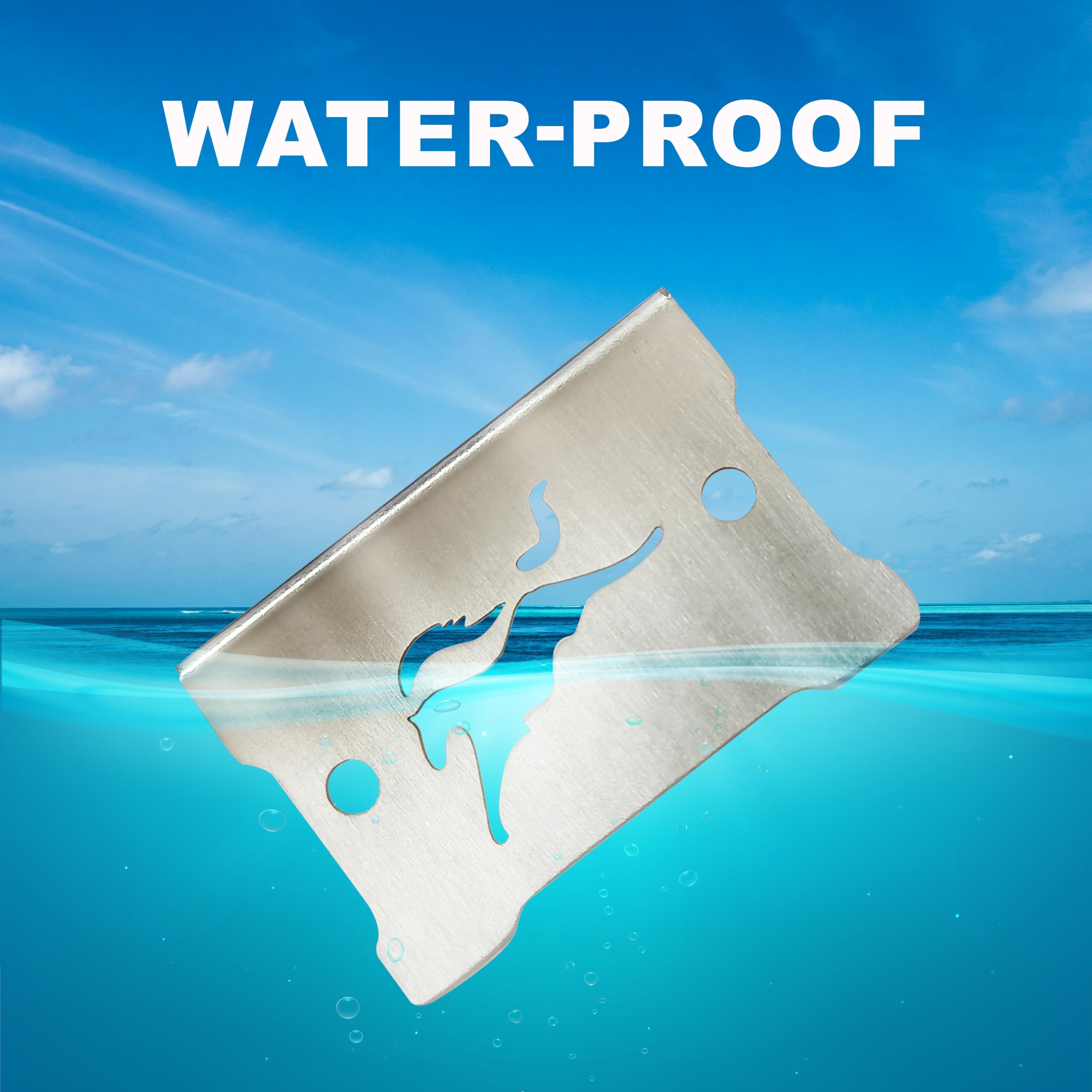 MIKANIX Stainless Steel Front Brake Oil Cap Guard for Ronin | Disc Brake Fluid Reservoir Protector Cover | Premium Bike Accessories