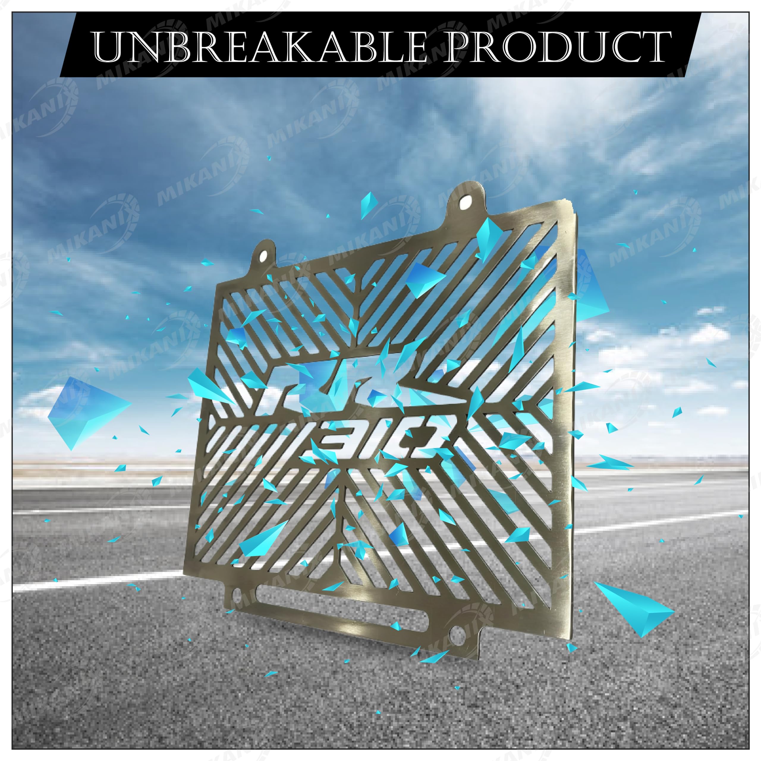 OBEROI'S TRADERS Stainless Steel Bike/Motorcycle Radiator Guard Protector Grill Cover Compatible with TVS Apache RR 310